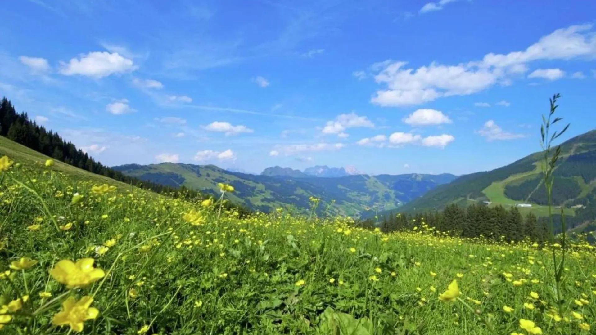 Chalet Apartment In Saalbach-Hinterglemm